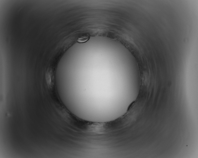 X0000088090138200705251436