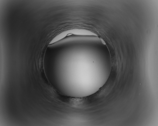 X0000088090139200705251436