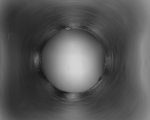 X0000088090142200705251436