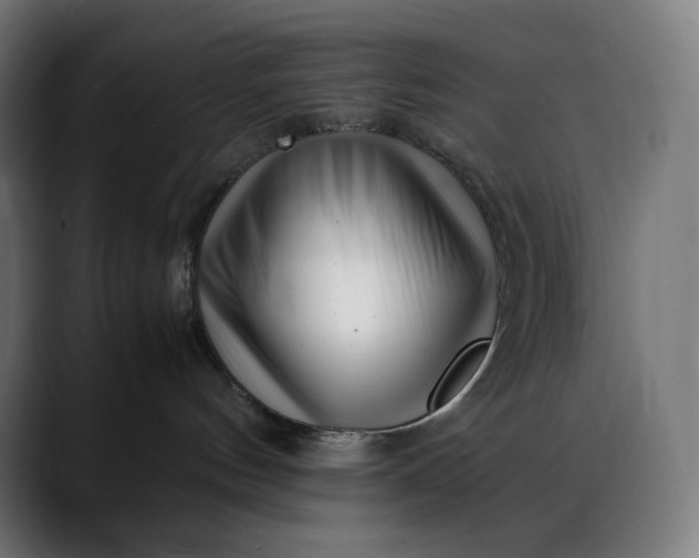 X0000088090144200705251436