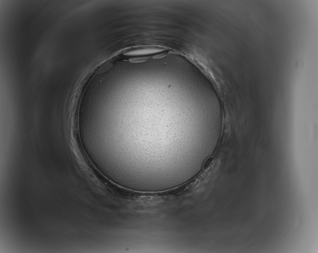 X0000088090145200705251436