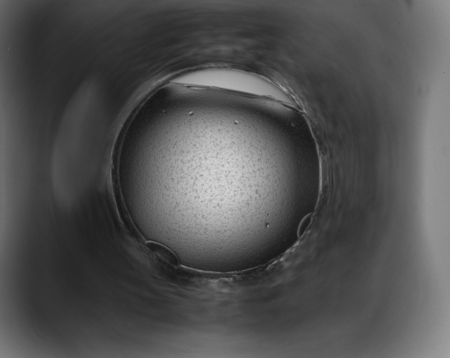 X0000088090147200705251436