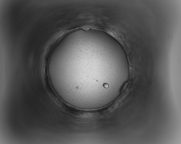 X0000088090149200705251436