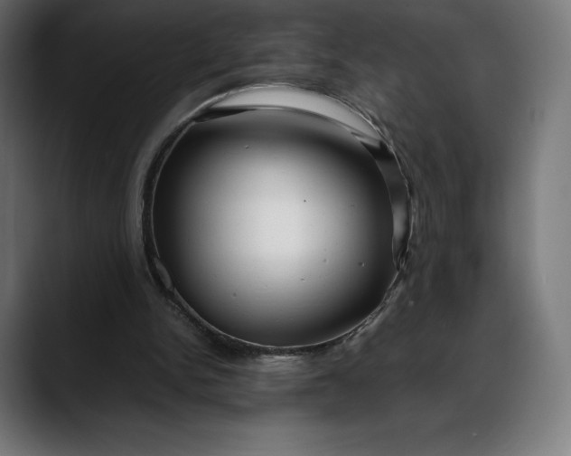 X0000088090150200705251436