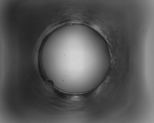 X0000088090151200705251436