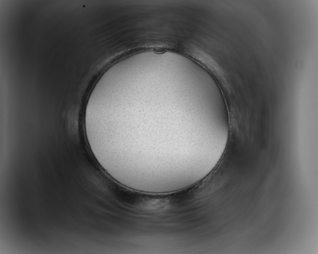 X0000088090155200705251436