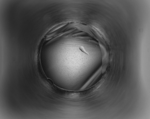 X0000088090156200705251436