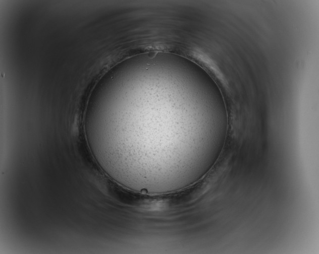 X0000088090161200705251436