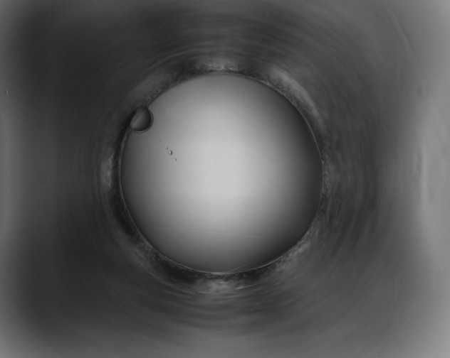 X0000088090163200705251436