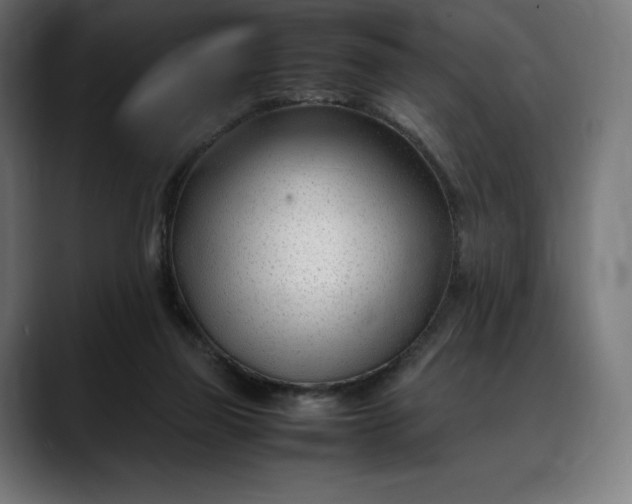 X0000088090165200705251436