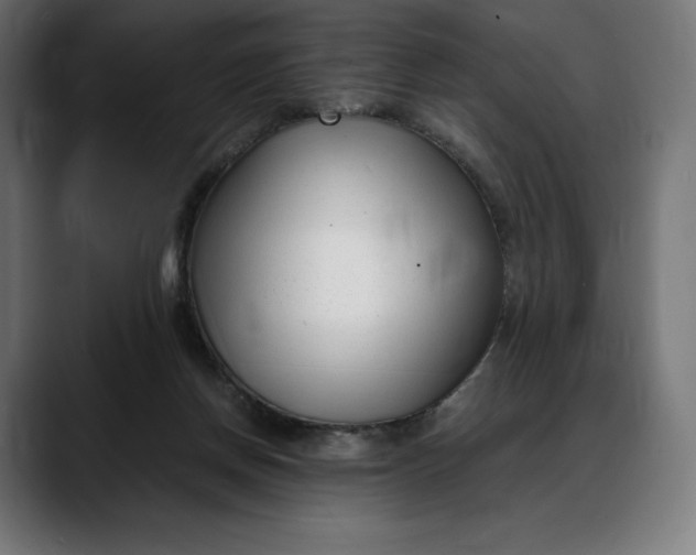 X0000088090166200705251436