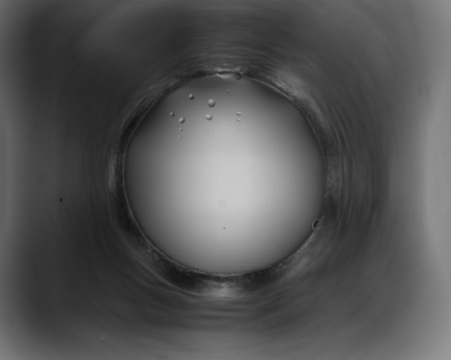 X0000088090167200705251436