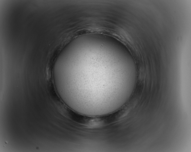 X0000088090173200705251436