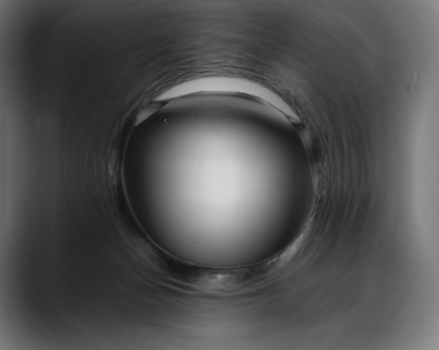 X0000088090174200705251436