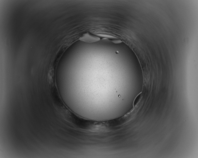 X0000088090175200705251436