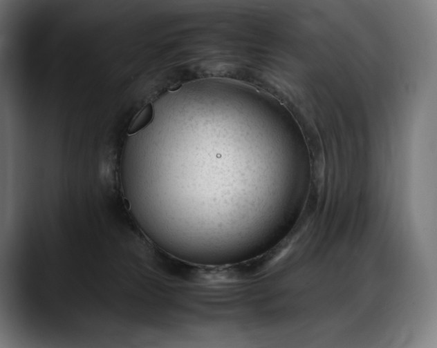 X0000088090181200705251436