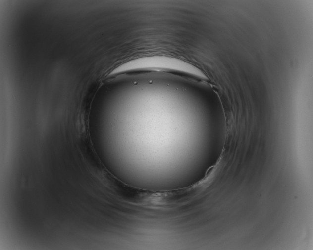 X0000088090182200705251436