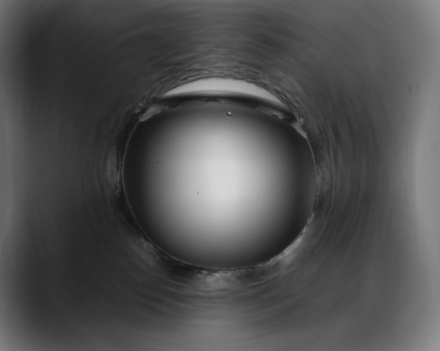 X0000088090186200705251436