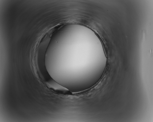 X0000088090193200705251436