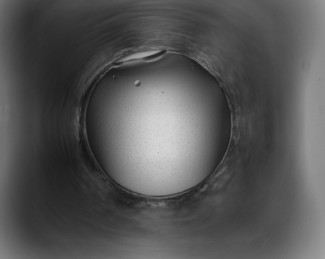 X0000088090194200705251436