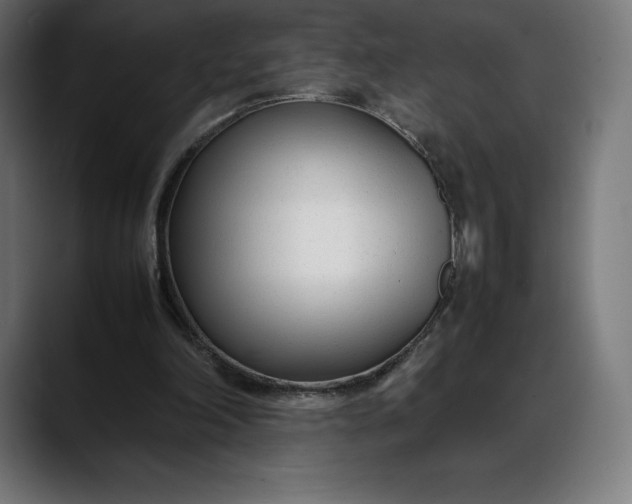 X0000088090198200705251436