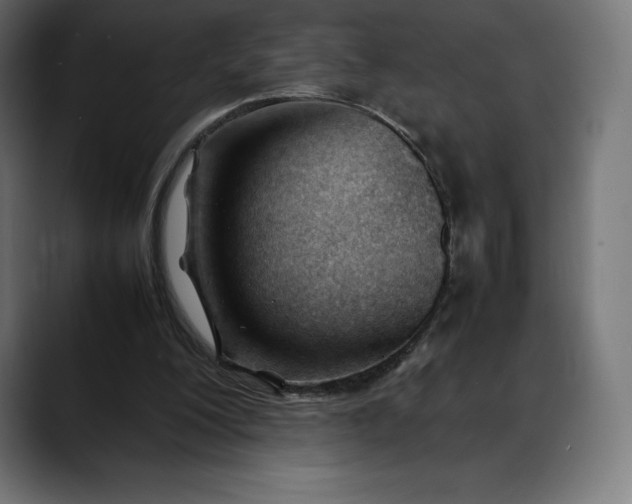 X0000088090200200705251436