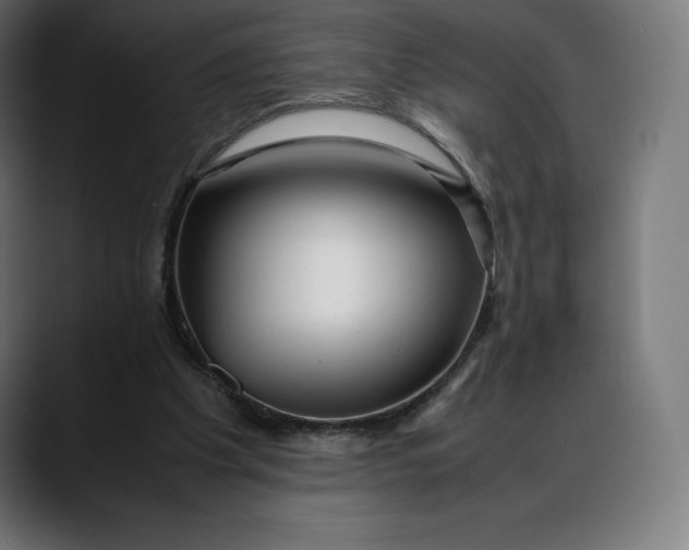 X0000088090201200705251436