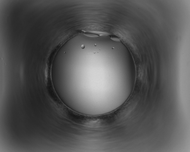 X0000088090206200705251436