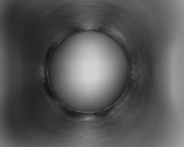 X0000088090210200705251436