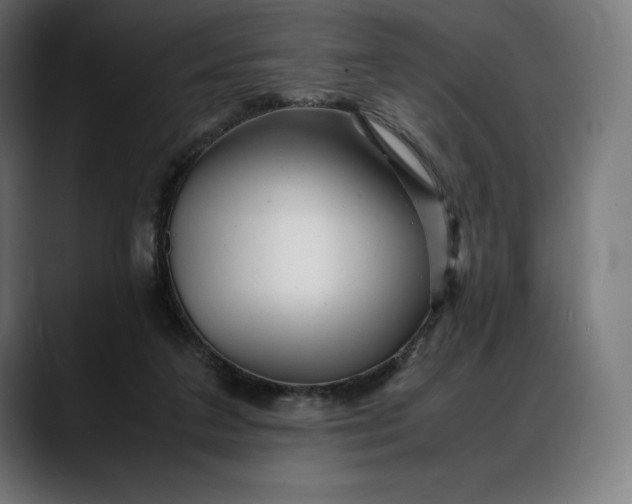 X0000088090211200705251436