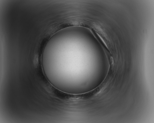 X0000088090213200705251436