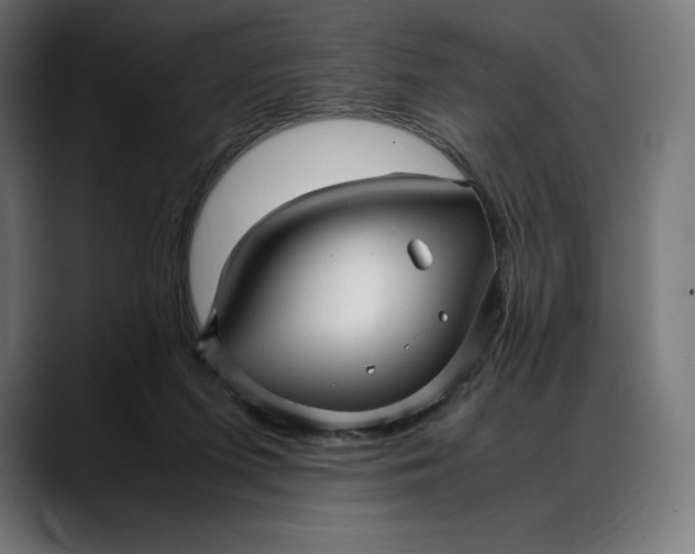 X0000088090215200705251435