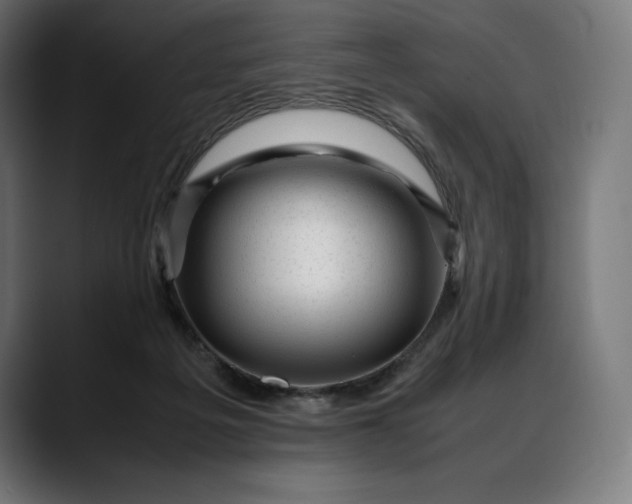 X0000088090217200705251435