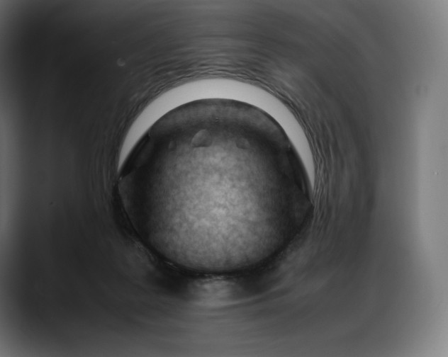 X0000088090219200705251435