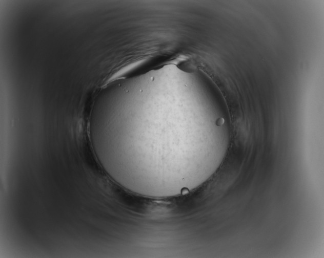 X0000088090222200705251435