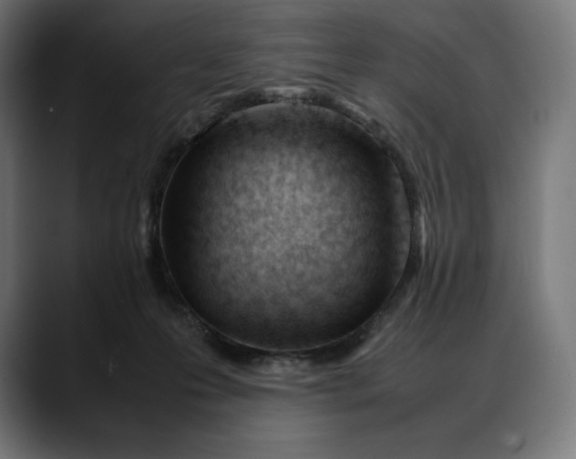 X0000088090223200705251435