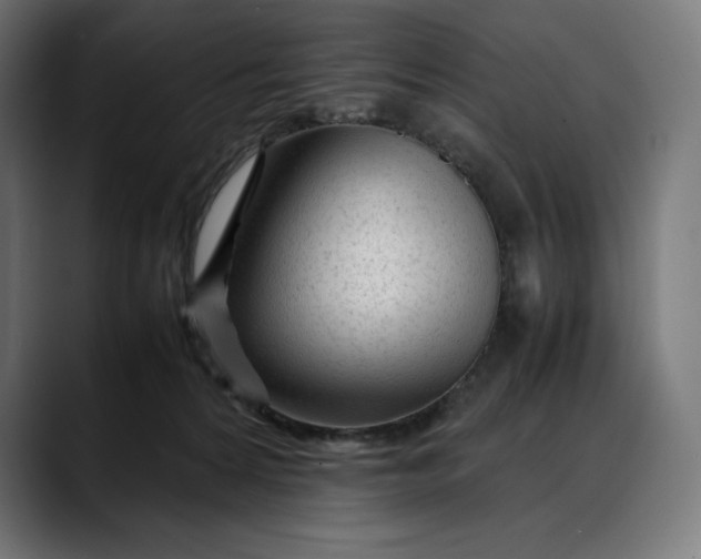 X0000088090224200705251435