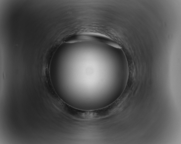 X0000088090225200705251435