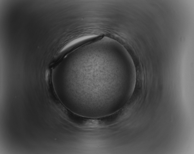 X0000088090227200705251435