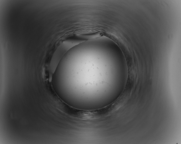 X0000088090229200705251435