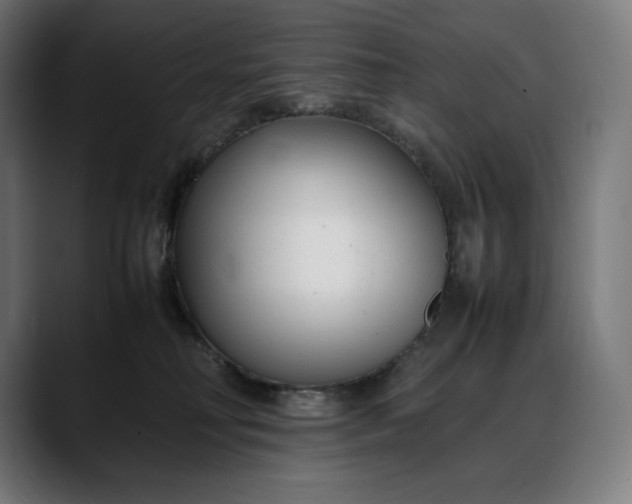 X0000088090230200705251435