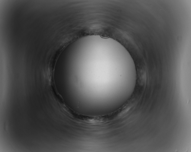 X0000088090232200705251435