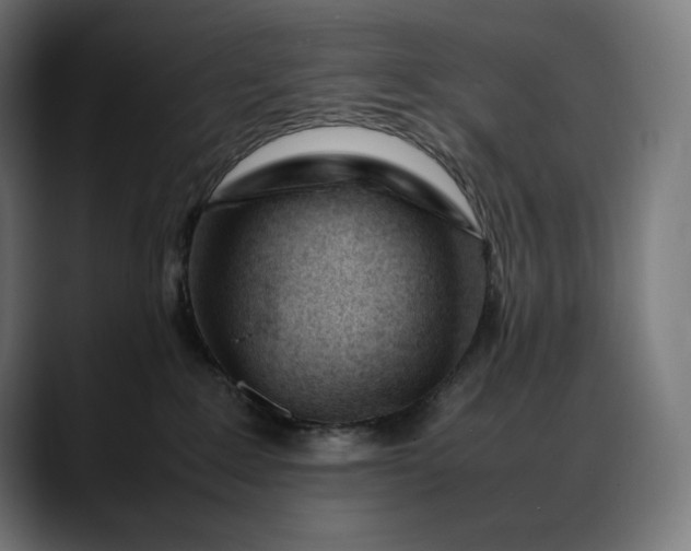 X0000088090235200705251435