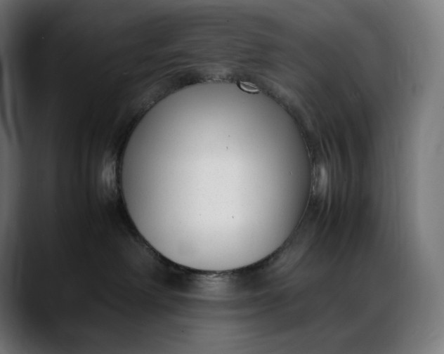 X0000088090238200705251435