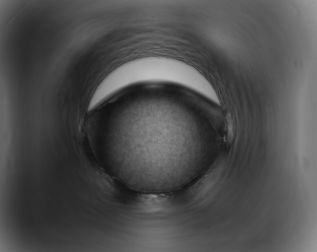 X0000088090239200705251435