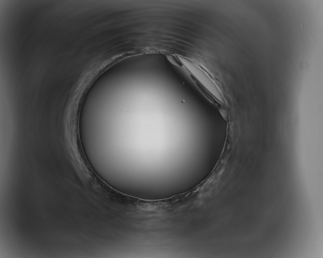 X0000088090241200705251435