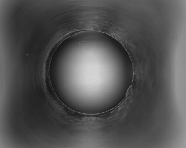 X0000088090242200705251435