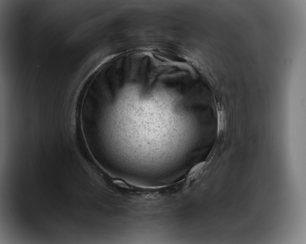 X0000088090243200705251435