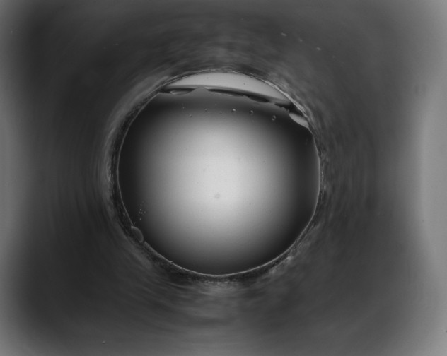 X0000088090245200705251435