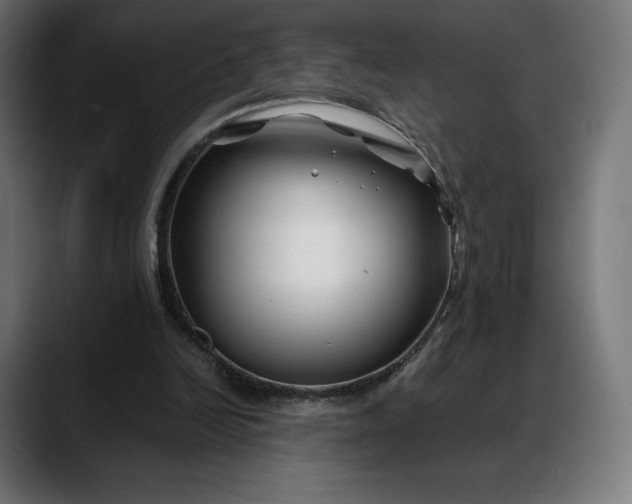 X0000088090246200705251435